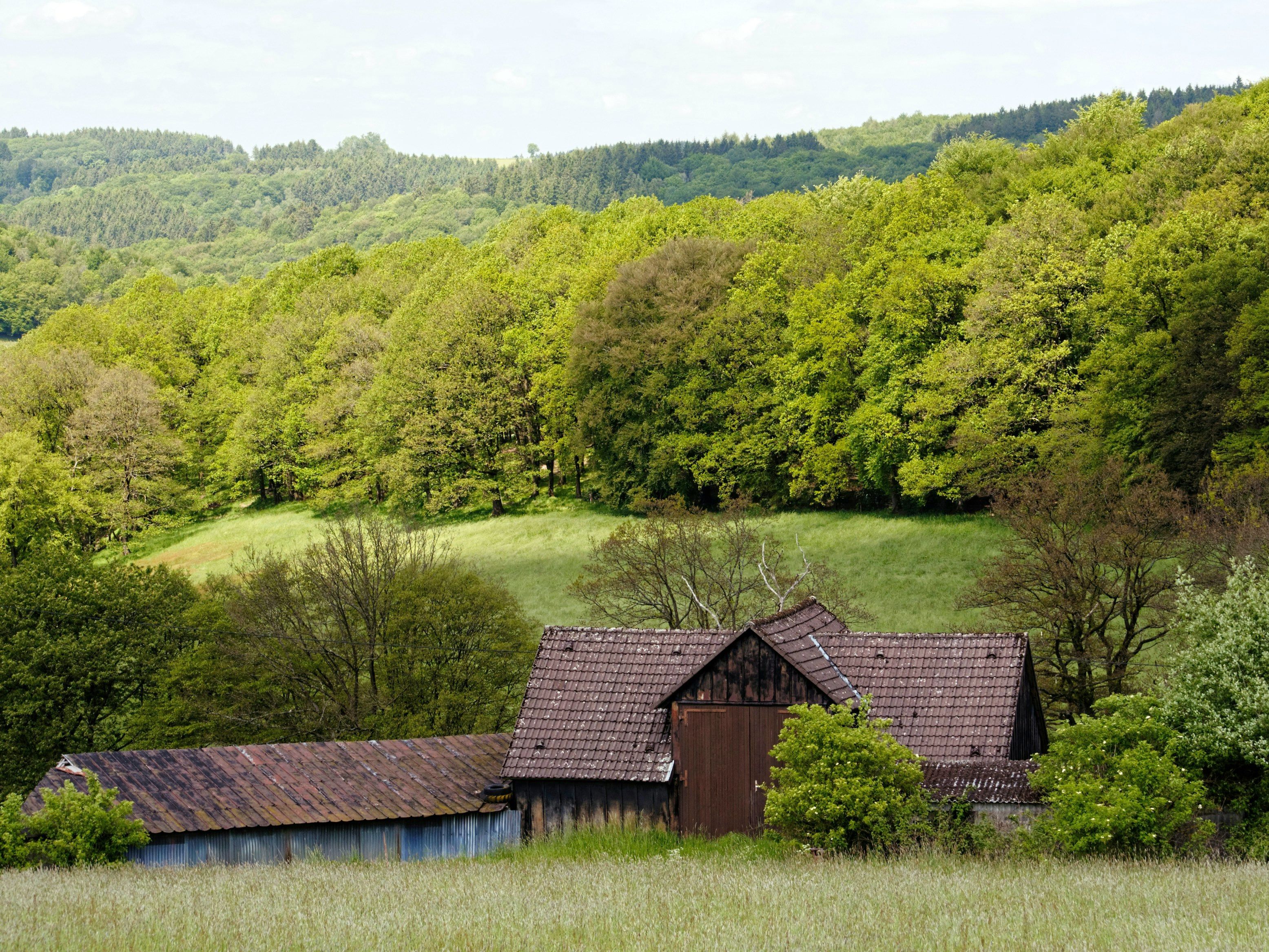 Ländereien und Forstgrundstücke
